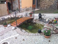 /album/fotogaleria/a249801-230007870358991-100000493399205-987892-4116791-n-jpg/